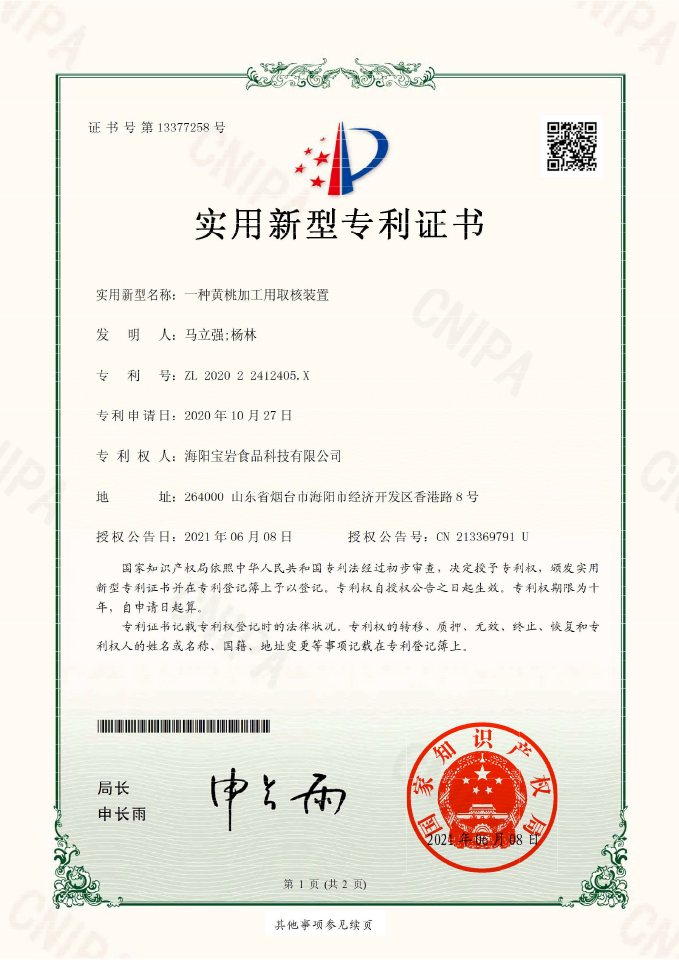 实用新型专利证书08