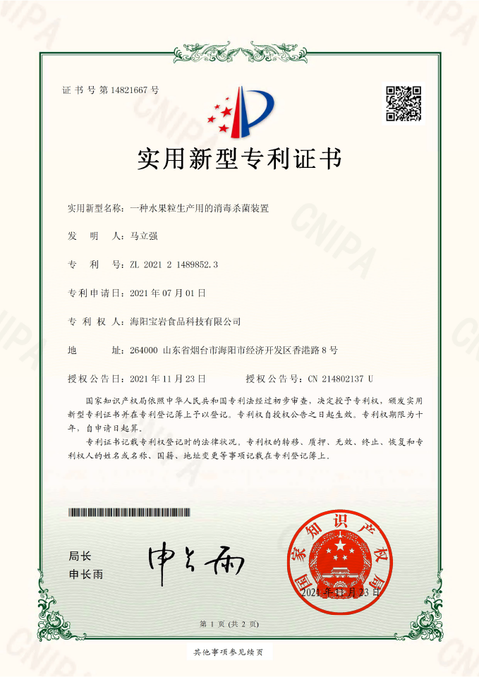 实用新型专利证书10