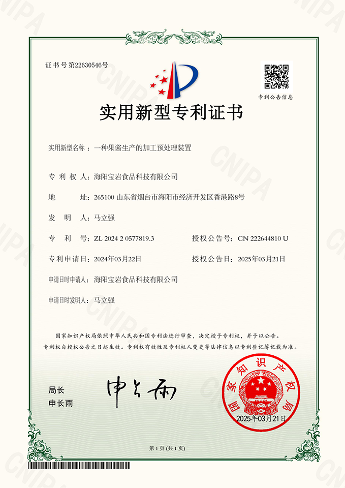 实用新型专利证书17